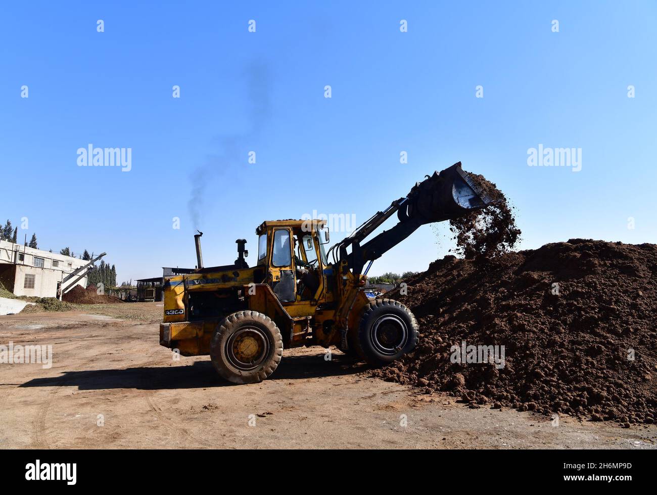 Homs, Siria. 16 novembre 2021. Un camion spazza mucchi di sansa d'oliva  come parte di un processo per renderlo combustibile in una fabbrica nella  provincia centrale di Homs, Siria, il 11 novembre
