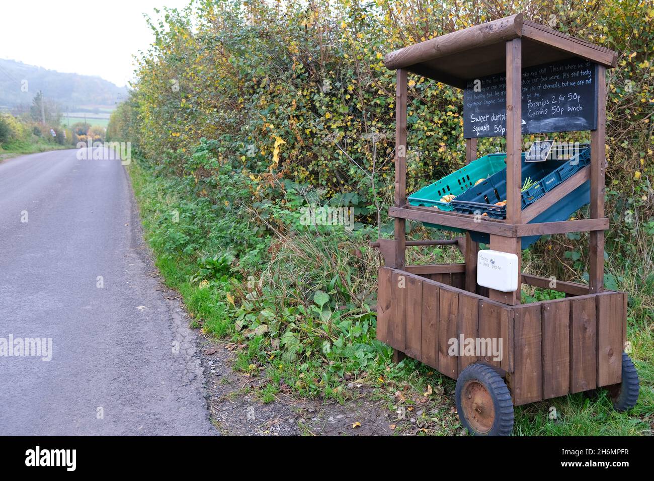 Novembre 2021 - Vegtables in vendita su una stalla accanto ad una strada di campagna nel Somerset rurale, Inghilterra, Regno Unito. Foto Stock