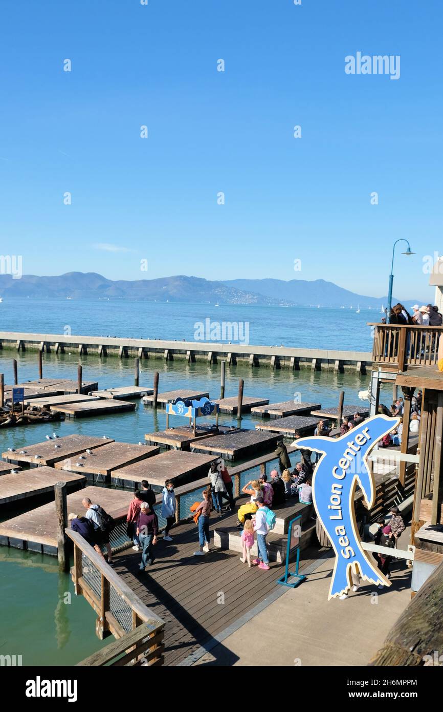 Cartello fuori dal Sea Lion Centre al molo 39, San Francisco, California, turisti, baia, e piattaforme di leoni marini; centro di educazione alla vita marina e acquatica. Foto Stock