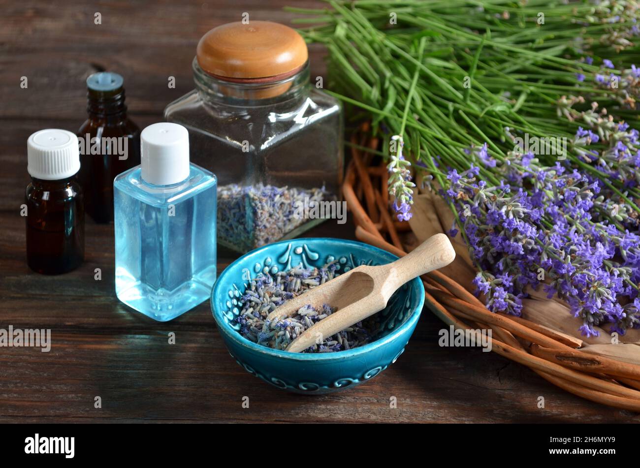 Fiori freschi e secchi di lavanda con bottiglie di olio essenziale e acqua di lavanda per trattamenti termali o per la produzione di cosmetici naturali. Aromaterapia e s. Foto Stock