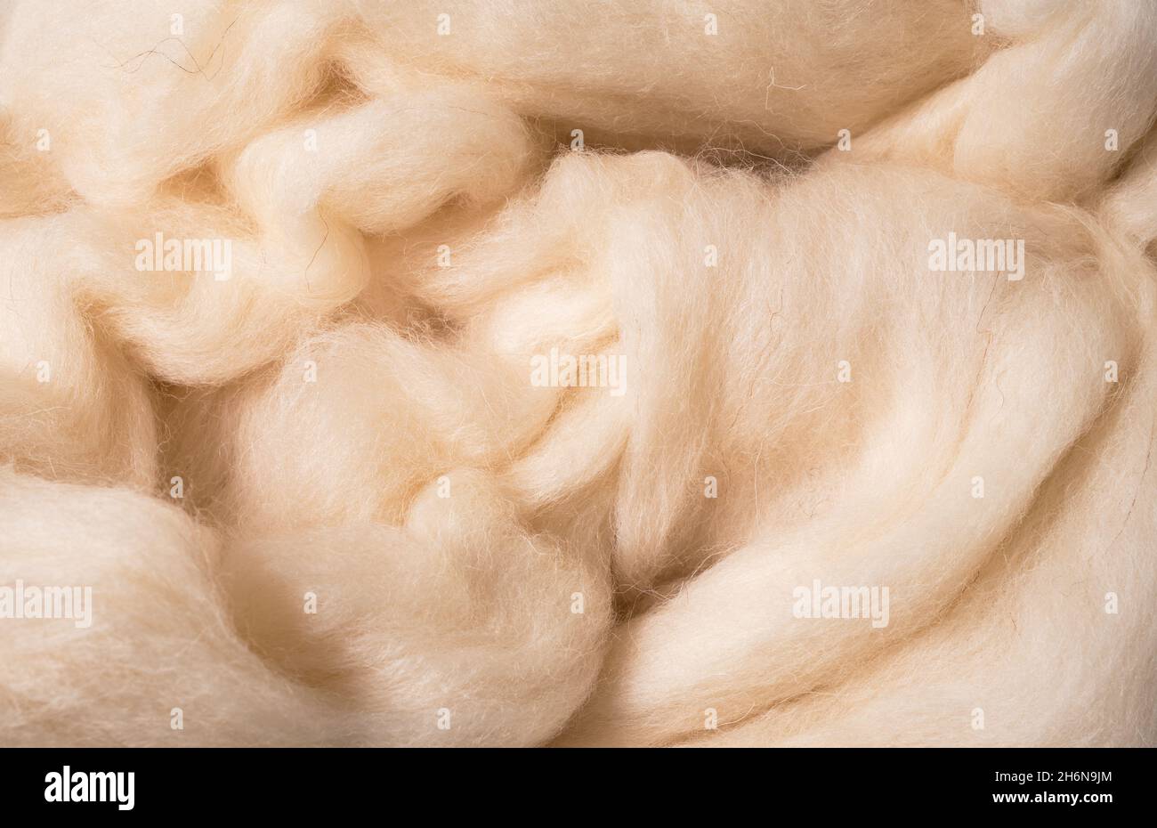 lana merino, lattiginosa e resistente per feltri per texture e fondo Foto Stock