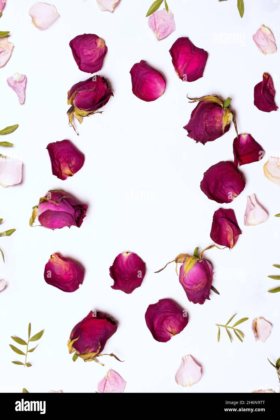 Cornice di rose rosse secche, petali rossi e rosati e foglie a forma di cerchio su sfondo bianco. Piatto, vista dall'alto stagionale Foto Stock