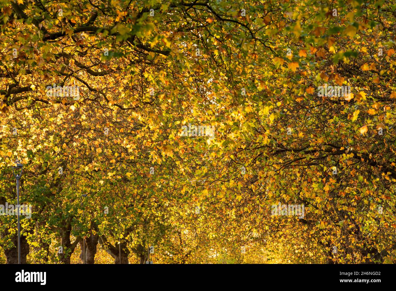 Luci serali d'autunno a Victoria Embankment, Nottingham Nottinghamshire Inghilterra UK Foto Stock