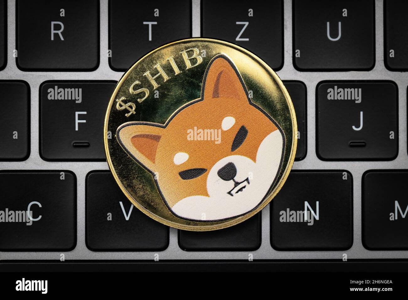 GOLD Color SHIBA INU COIN CRYPTO COIN In Plastic Case - Foto 3