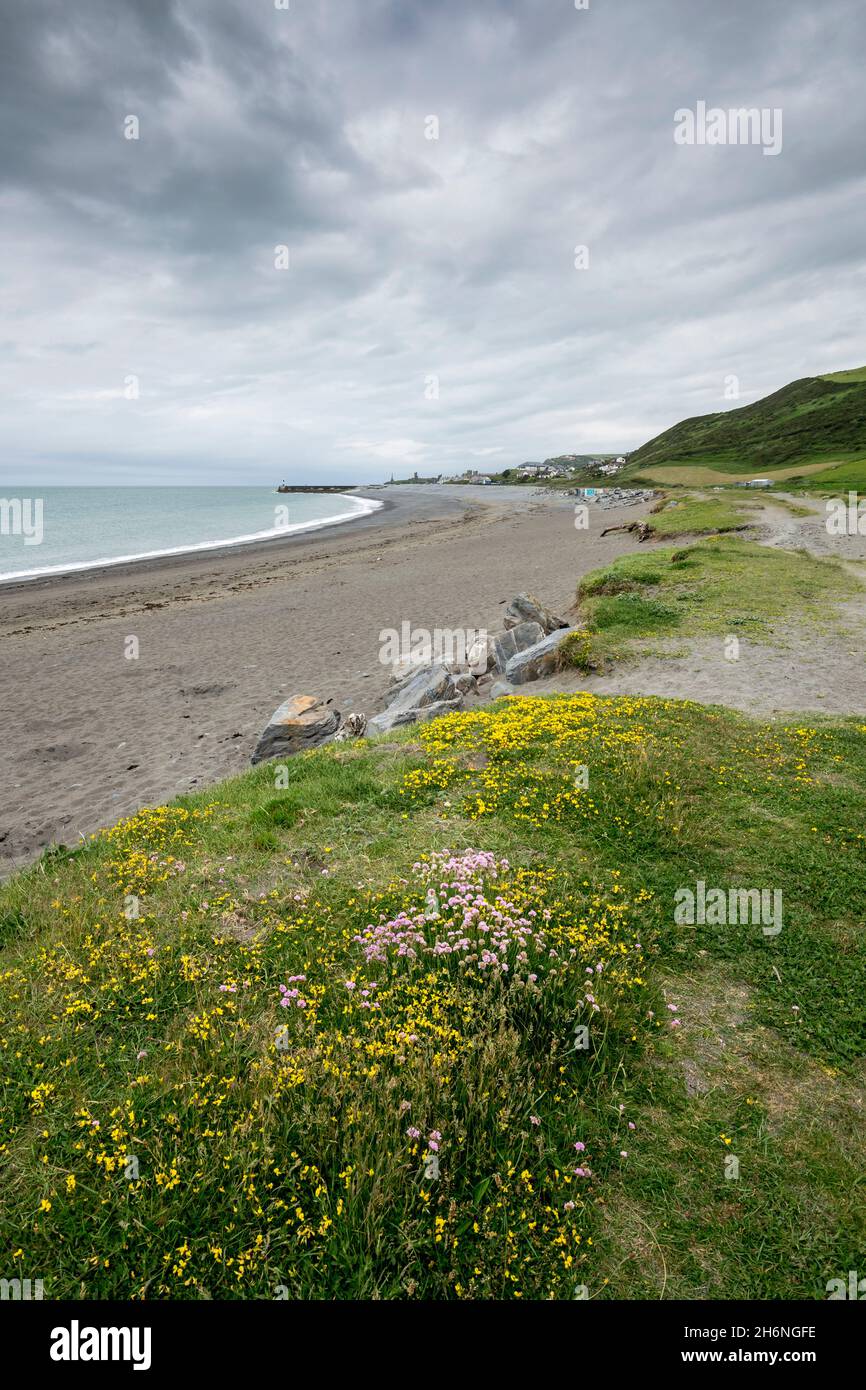 Tanybwlch spiaggia Aberystwyth in Cerediaion centro Galles guardando verso Pen Dinas collina Foto Stock Tanybwlch spiaggia Aberystwyth in Cerediaion centro Galles guardando verso Pen Dinas collina Foto Stock