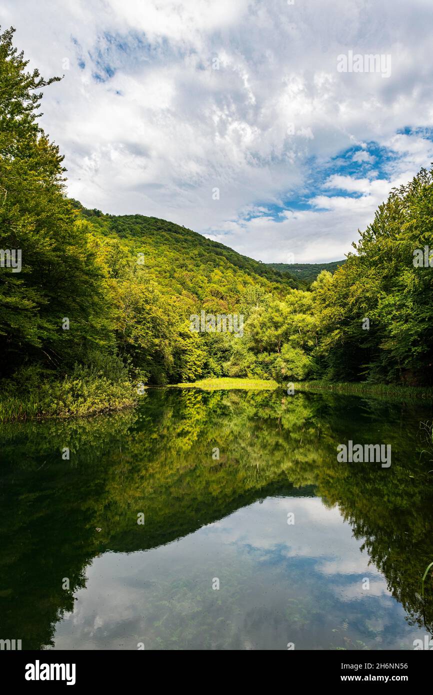 Bellissimo lago nella riserva naturale Grza, Serbia Foto Stock