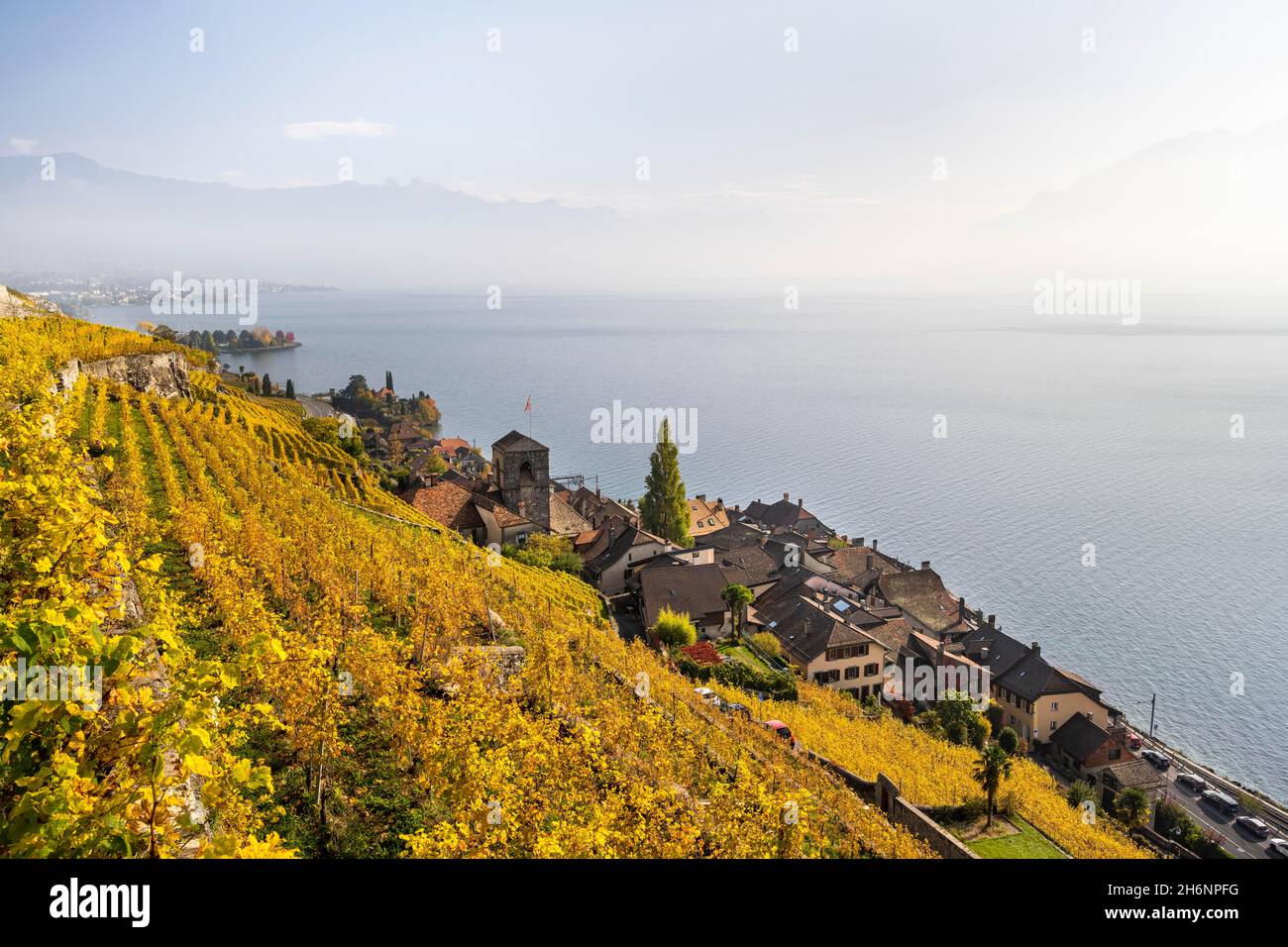 Vigneti in autunno, vista sul lago di Ginevra e il villaggio viticolo di Saint-Saphorin, patrimonio mondiale dell'UNESCO Lavaux, Vaud, Svizzera Foto Stock Vigneti in autunno, vista sul lago di Ginevra e il villaggio viticolo di Saint-Saphorin, patrimonio mondiale dell'UNESCO Lavaux, Vaud, Svizzera Foto Stock