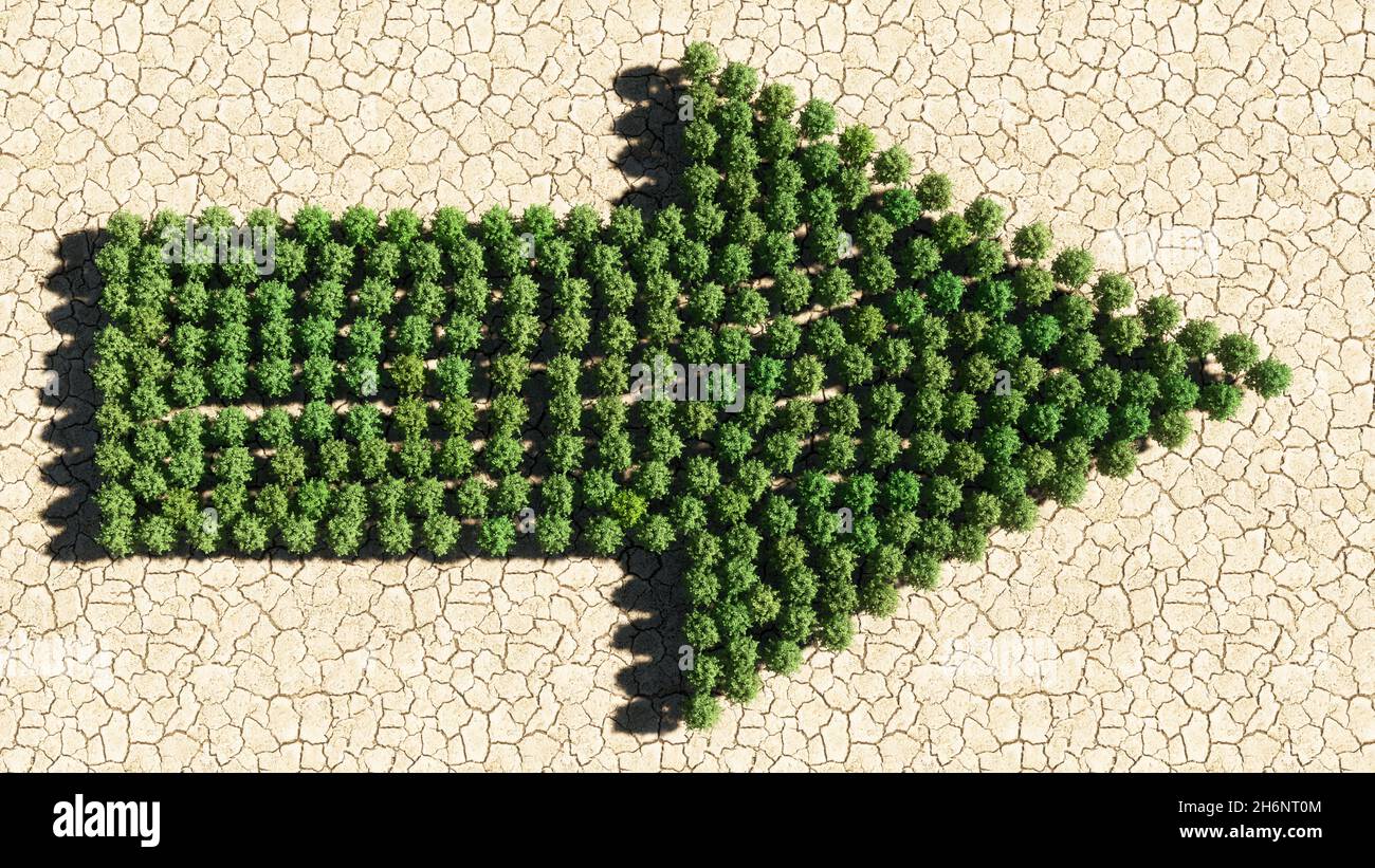 Concetto o gruppo concettuale di foresta verde albero su fondo asciutto terreno, segnaletica stradale. metafora dell'illustrazione 3d per navigazione, strategia, viaggio Foto Stock