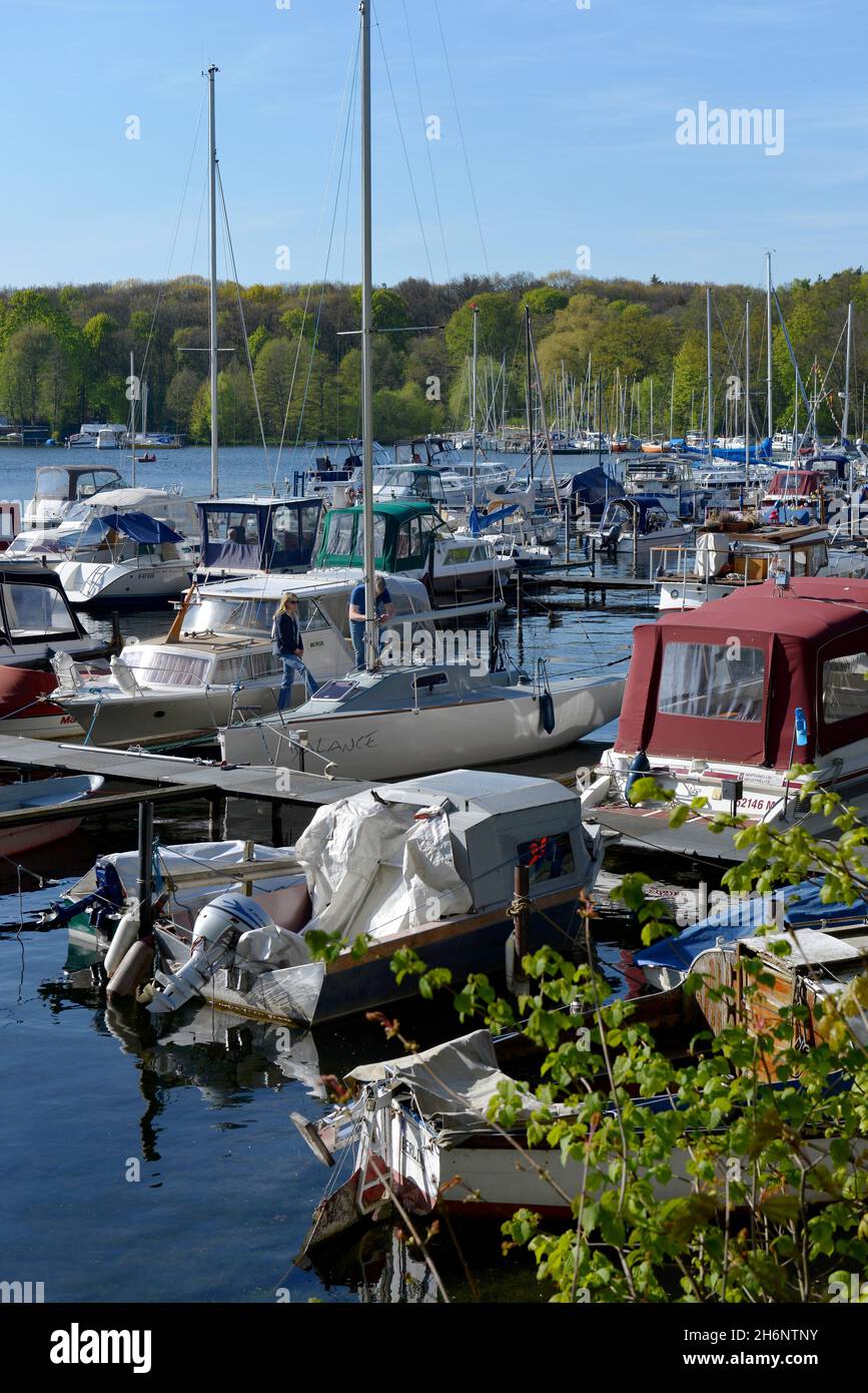 Jetty, Grosse Malche, Lago Tegel, Tegel, Reinickendorf, Berlino, Germania Foto Stock