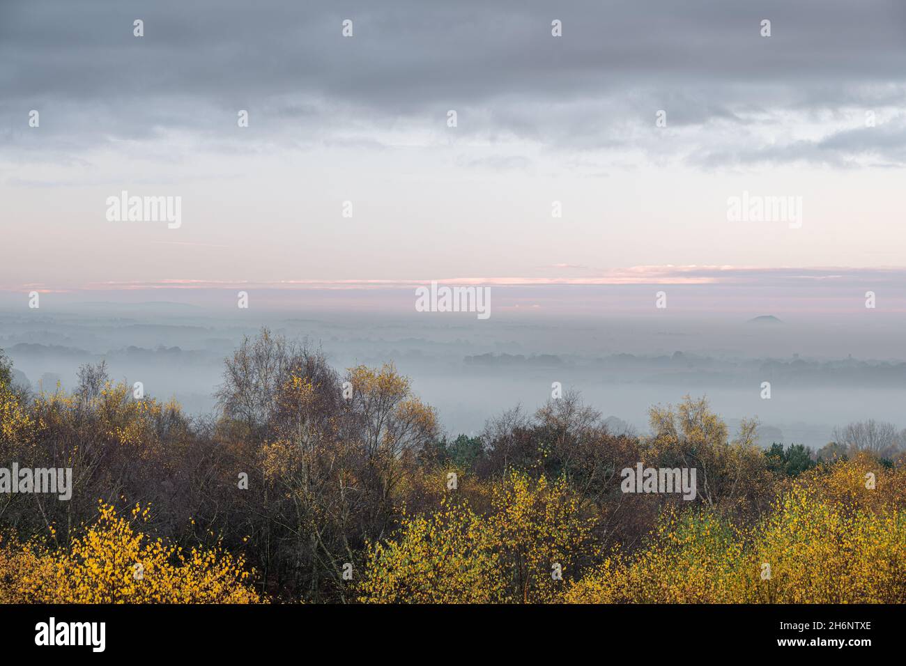 Alba, e autunno autunnale d'oro albero e foglie colori al Downs Banks, Barlaston in Staffordshire, Regno Unito. Foto Stock