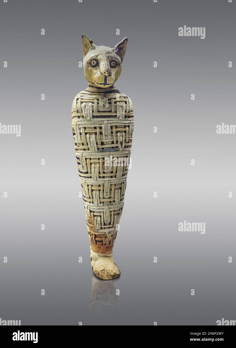 Mummia di gatto egiziano romano, dopo il periodo romano di 30 AC, Abydos.  British Museum EA37348. Mummia di gatto; involucri di lino disposti in  forma geometrica. Len Foto stock - Alamy