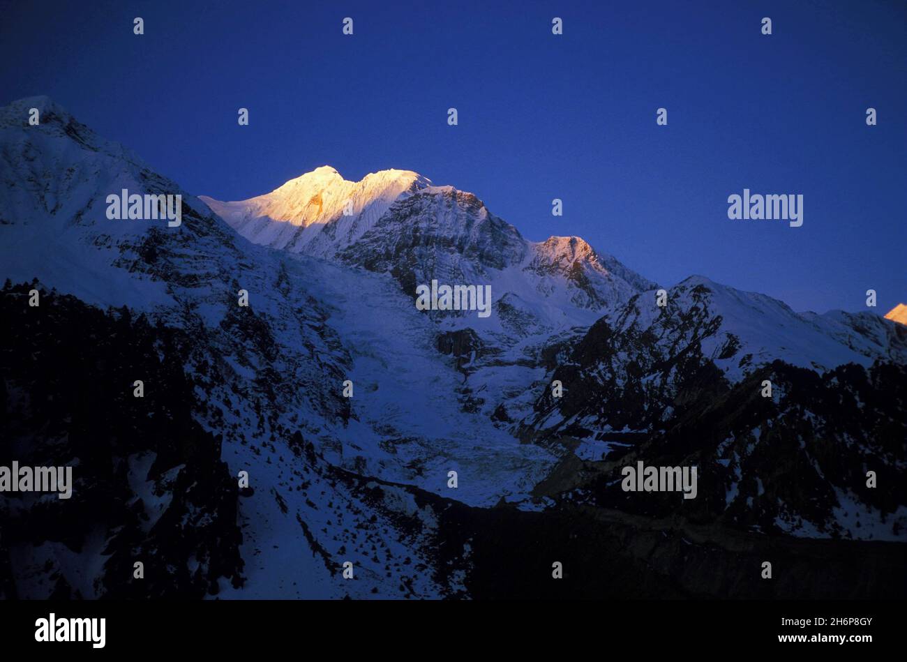 LEVER DE SOLEIL SUR LA FACE NORD DU GANGAPURNA (7455 M) DEPUIS LE VILLAGE DE MANANG, VALLEE DE LA MARSYANGDI, MASSICCIO DELL'ANNAPURNA, NEPAL Foto Stock