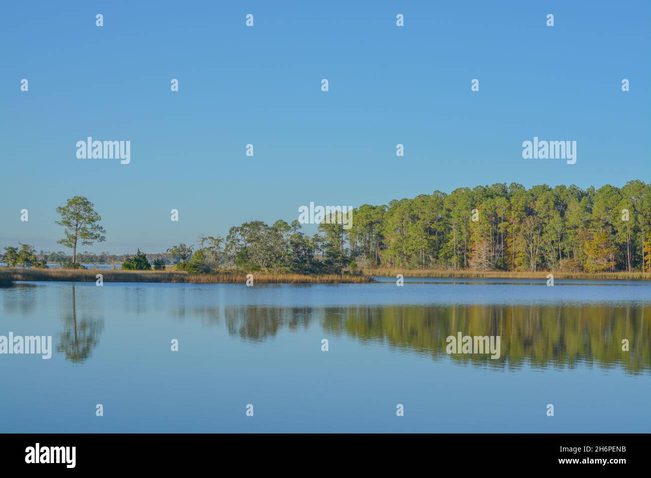 Splendida vista su Tucker Bayou. Si trova nell'Eden Gardens state Park, nella contea di Santa Walton, Florida Foto Stock