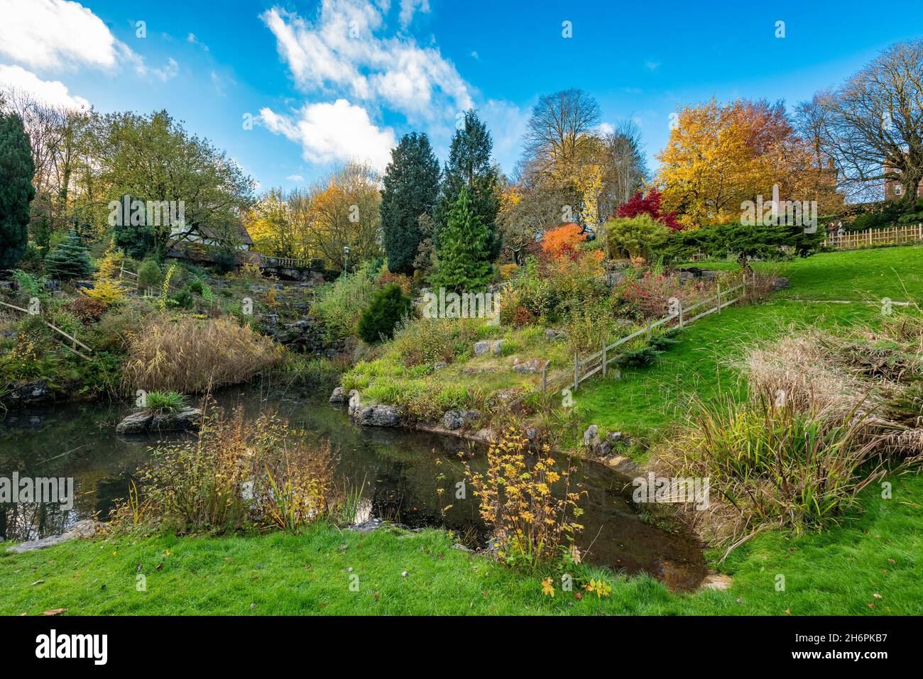 Colori autunnali nei giardini giapponesi di Avenham Park, Preston, Lancashire, Regno Unito. Foto Stock
