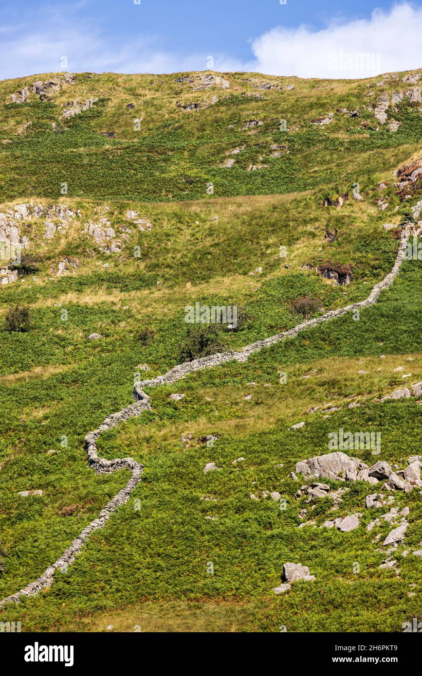 Muro di pietra che si snodano su una collina che divide i campi nel parco nazionale di Snowdonia, Galles, Regno Unito, Foto Stock
