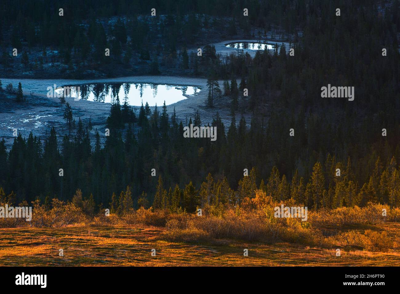 Foreste e laghi dall'alto, Nipfjället, Dalarna, Svezia Foto Stock
