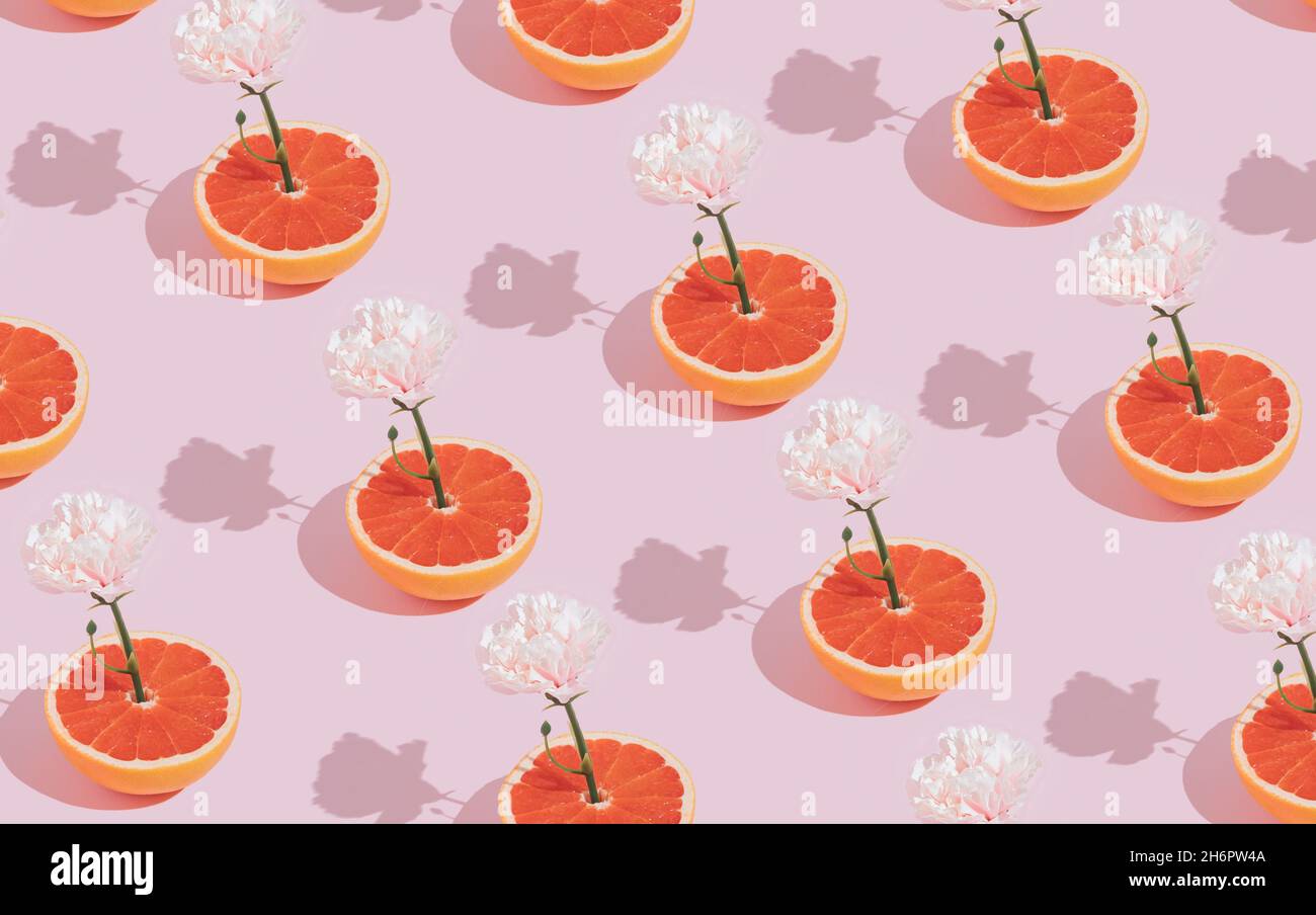 Modello creativo fatto di fiore rosa che cresce di pompelmo rosso su sfondo pastello. Composizione primaverile romanticismo minimale e alla moda. Foto Stock
