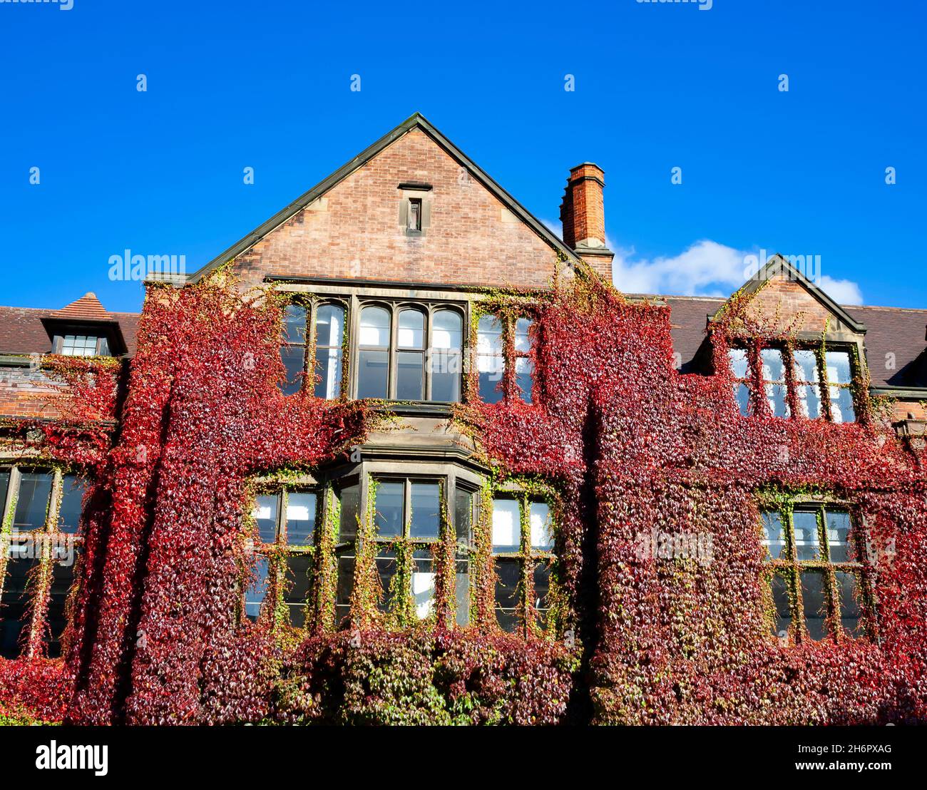 L'edificio coperto di edera della Scuola di architettura all'Università di Newcastle in una giornata di sole Foto Stock