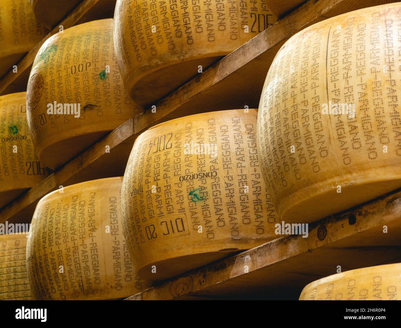 parmigiano Parmigiano Reggiano ruota maturazione in azienda agricola in un ambiente speciale a Parma Foto Stock