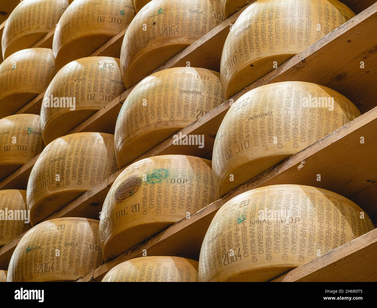 parmigiano Parmigiano Reggiano ruota maturazione in azienda agricola in un ambiente speciale a Parma Foto Stock