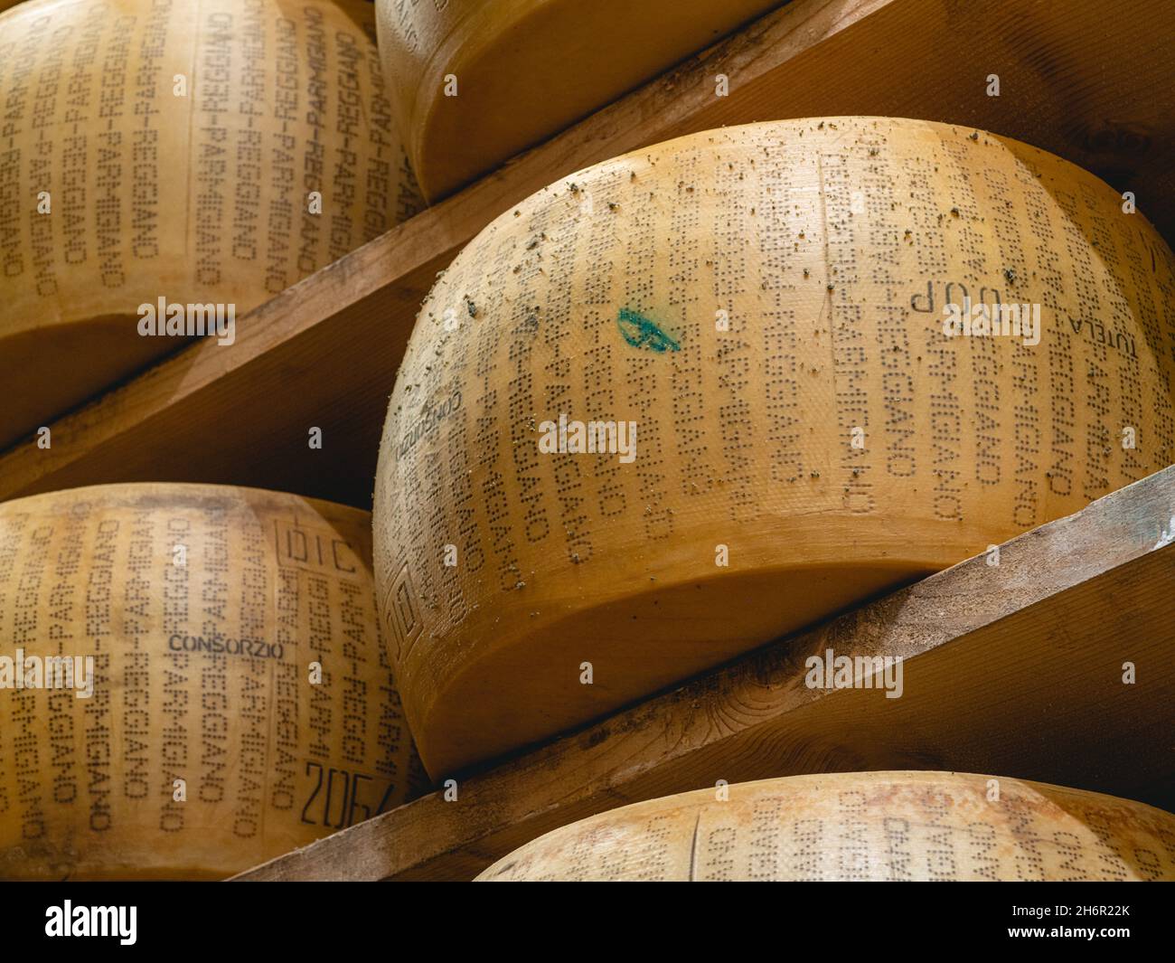 parmigiano Parmigiano Reggiano ruota maturazione in azienda agricola in un ambiente speciale a Parma Foto Stock