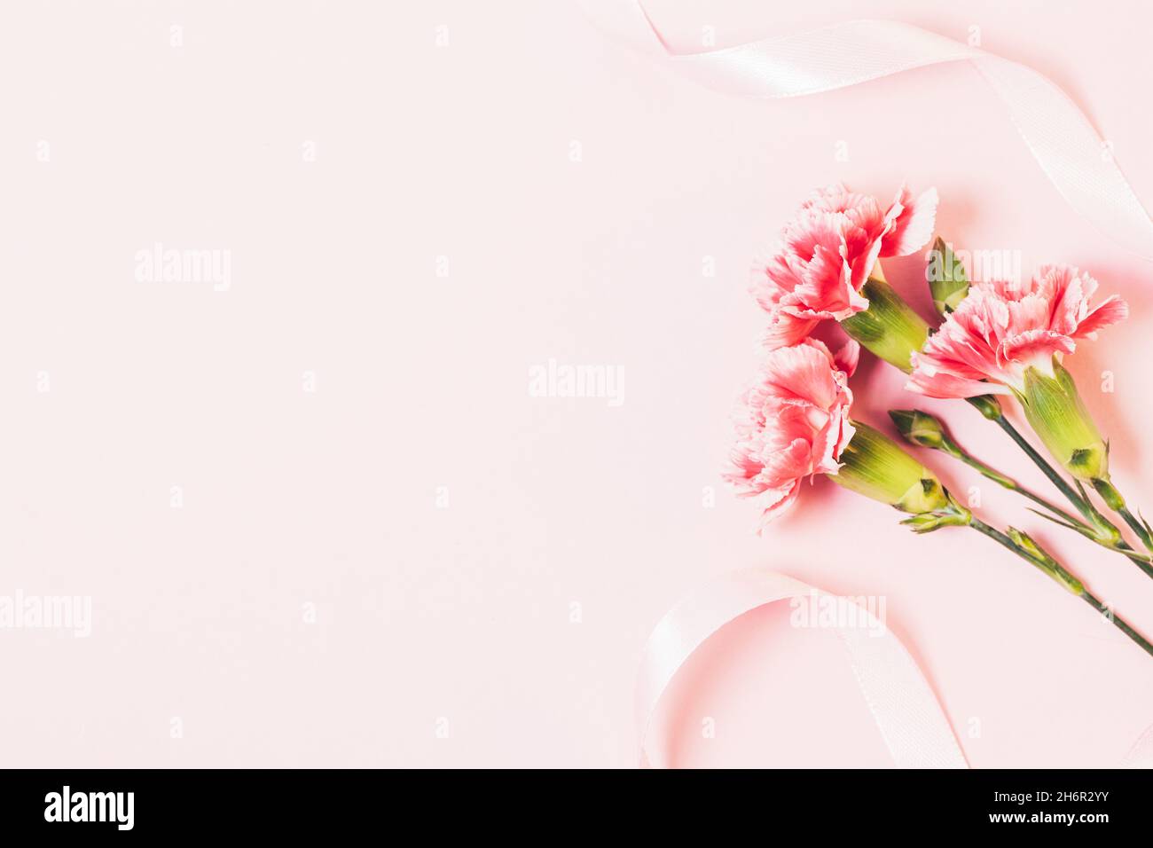 Sfondo rosa floreale con fiori freschi e nastro di seta, spazio copia Foto Stock