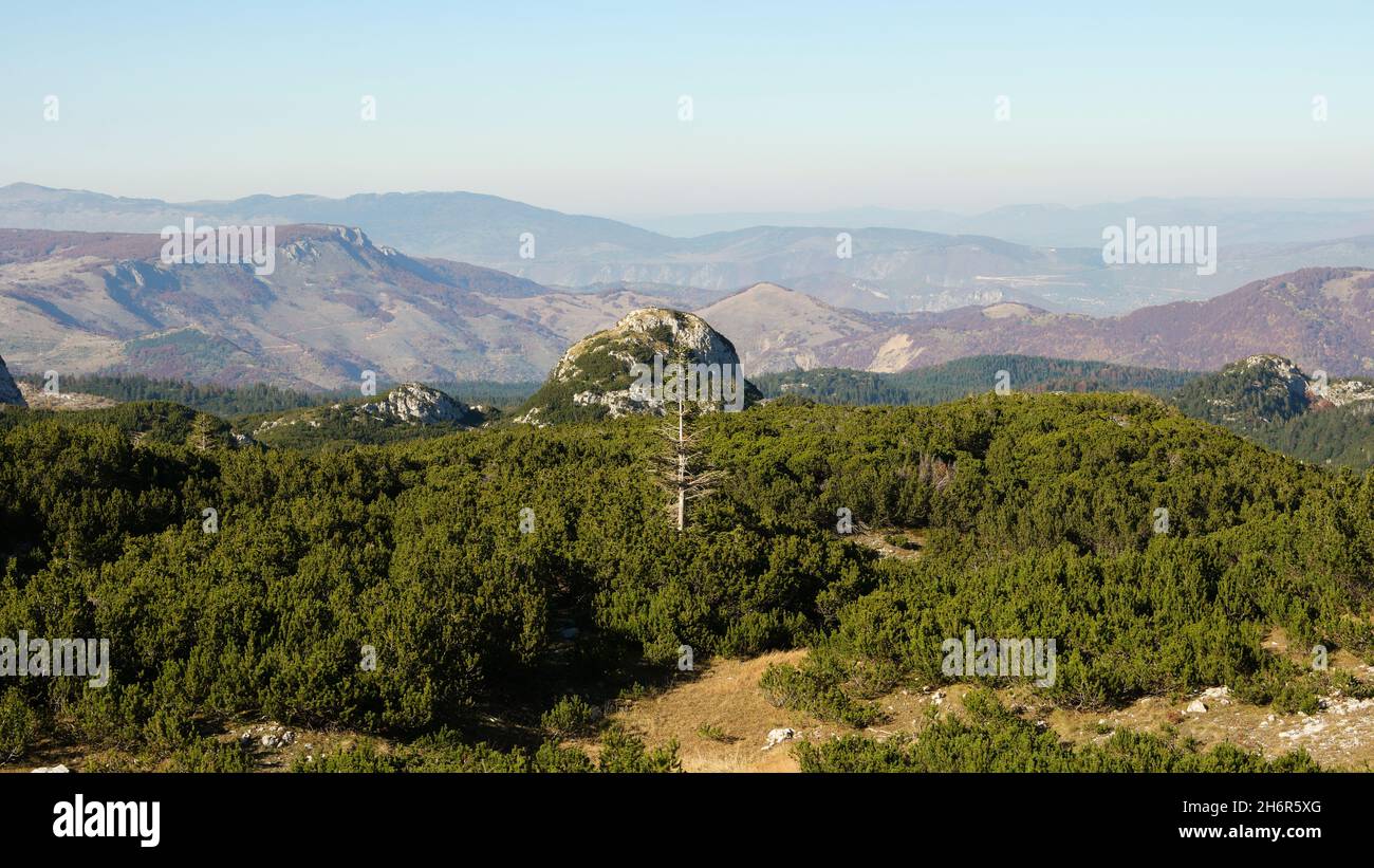 Scenario sulla strada per Hajdučka vrata nel parco di Blidinje Europa (Jablanica, Bosnia-Erzegovina) Foto Stock