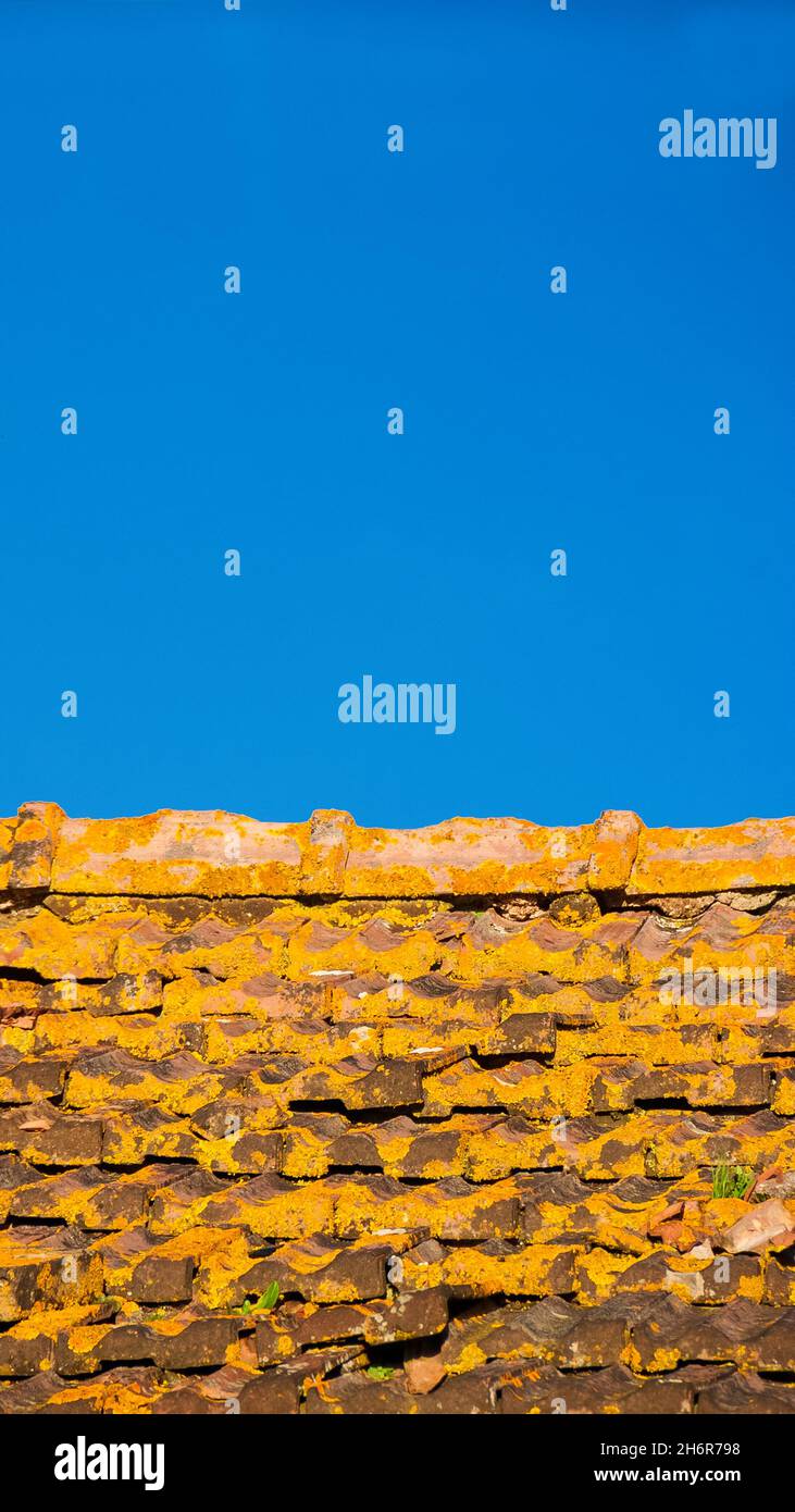 Tegole vecchie e in rovina con licheni gialli, cielo blu e spazio copia sopra Foto Stock