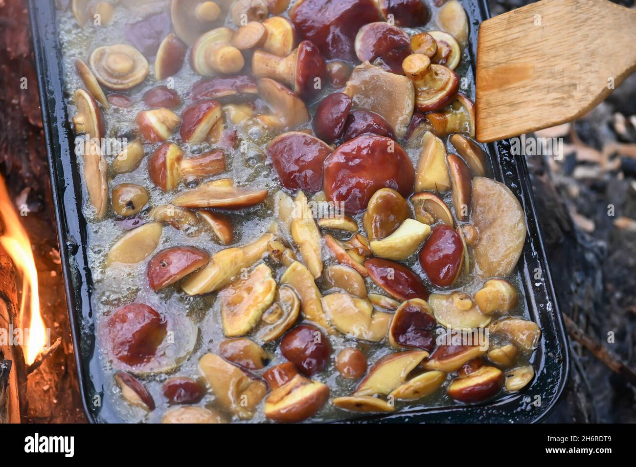 Vassoio da forno con funghi sul fuoco. Cottura dei funghi durante il viaggio. Foto Stock