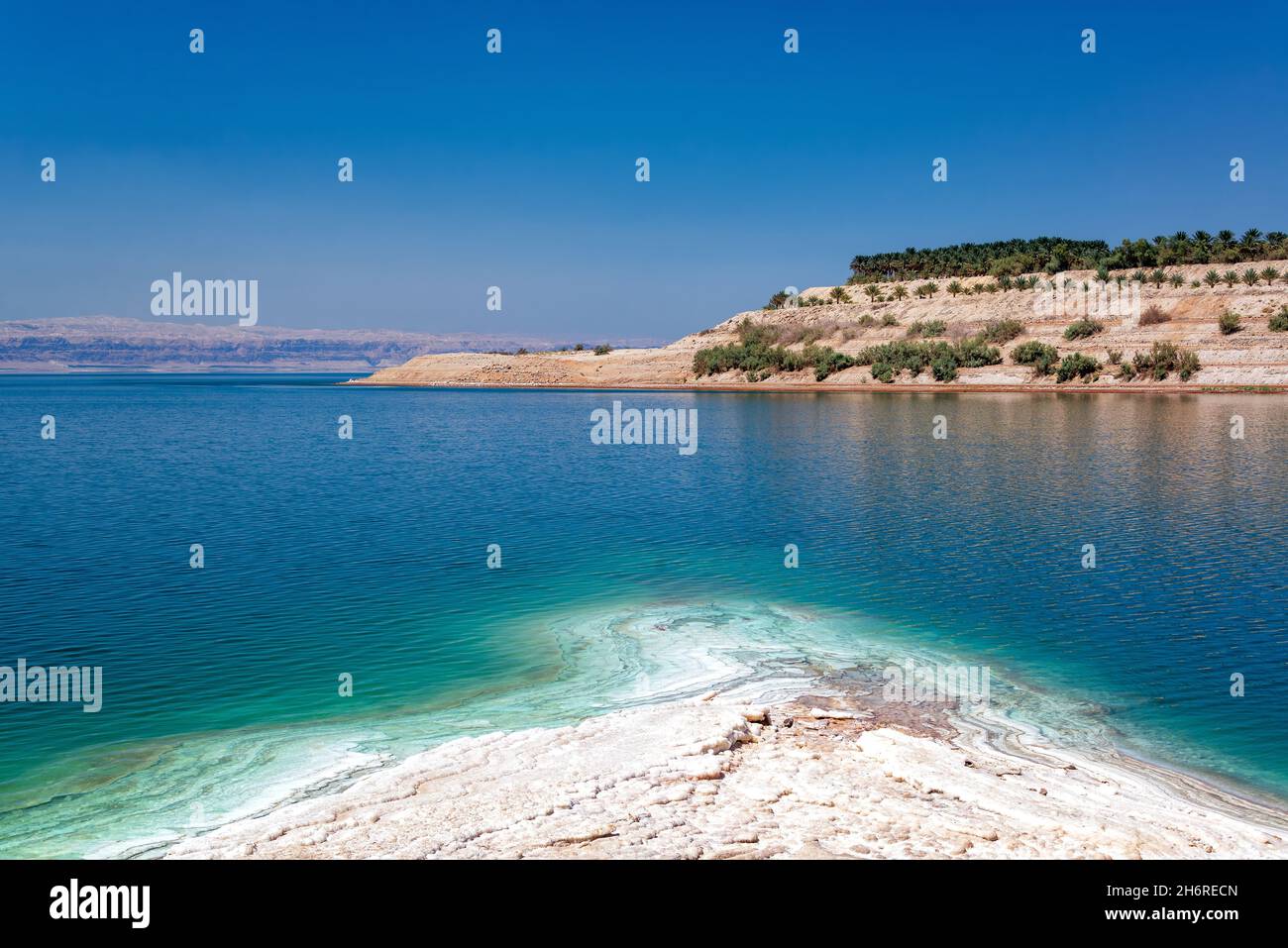 Litorale del Mar Morto in Giordania Foto Stock