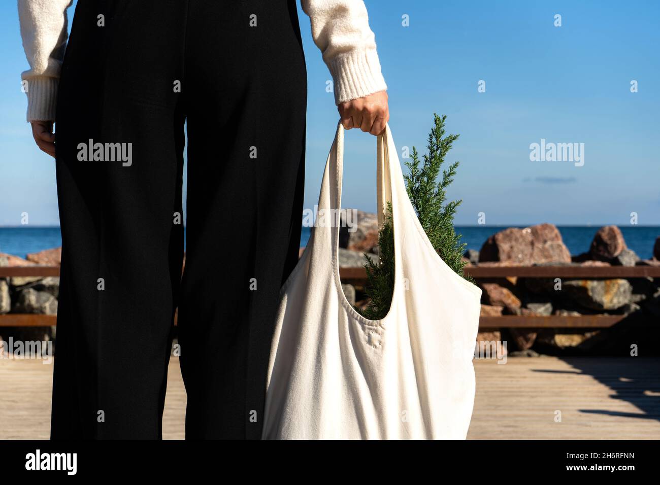 Borsa di tela con un piccolo albero di Natale in mano alla ragazza sullo sfondo del mare. Concetto di shopping mentale di Natale. Juniperus chinensis Foto Stock