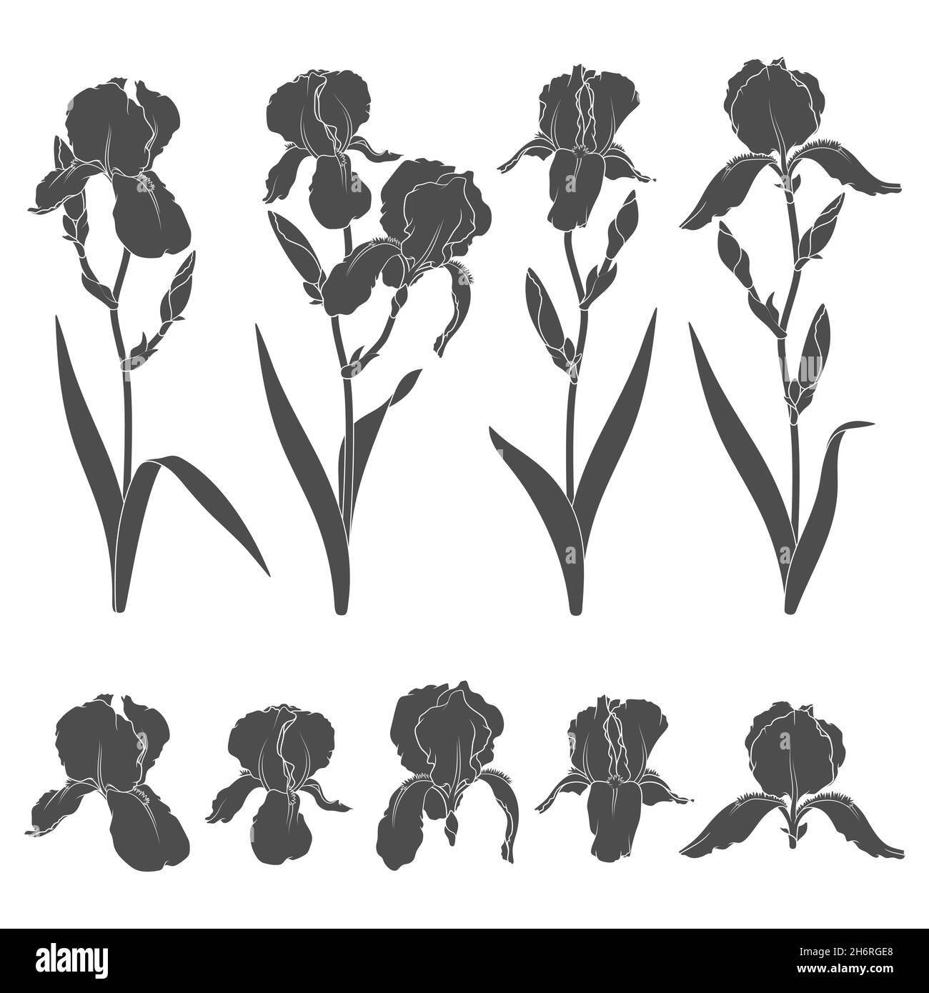 Set di illustrazioni in bianco e nero con fiori di iride. Oggetti vettoriali isolati su sfondo bianco. Illustrazione Vettoriale