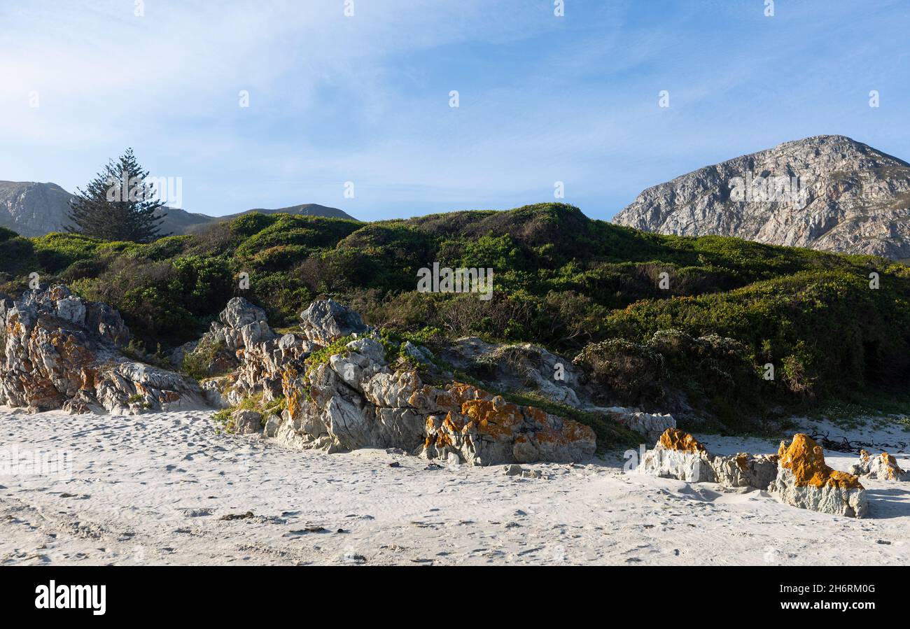 Dune di sabbia e macchia vegetazione su una spiaggia, montagne sullo sfondo. Foto Stock