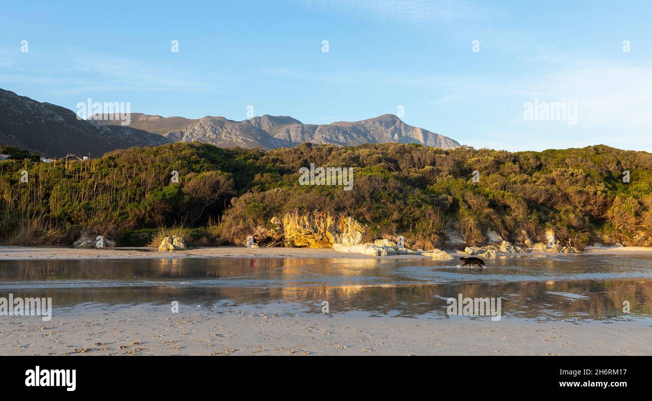 Paesaggio di boschi e montagne, una piccola spiaggia di sabbia riparata sulla costa atlantica. Foto Stock