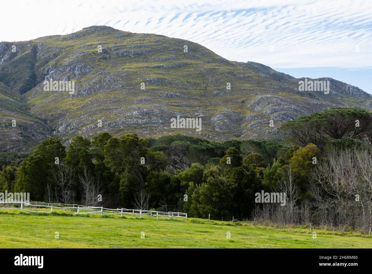 Paesaggio in pianura e vista sui monti Klein, Foto Stock