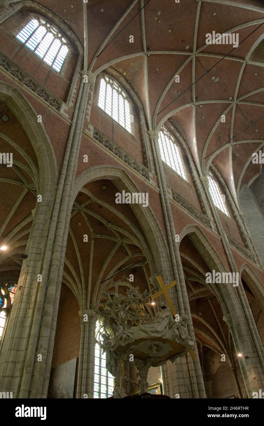 Vista interna della Cattedrale di San Bavo a Gand in Belgio Foto Stock