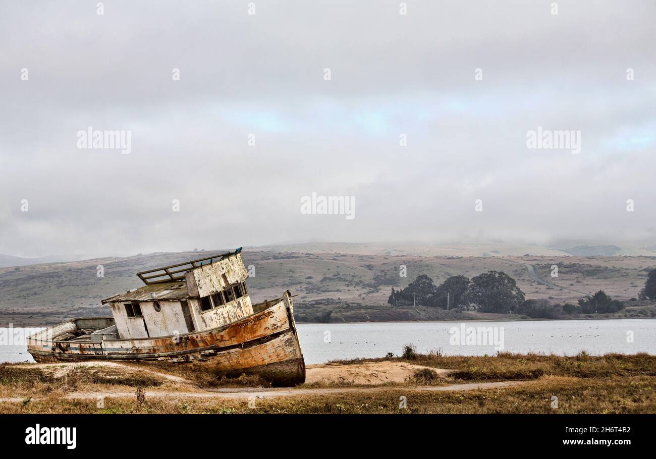 Naufragi a Tomales Bay, California Foto Stock