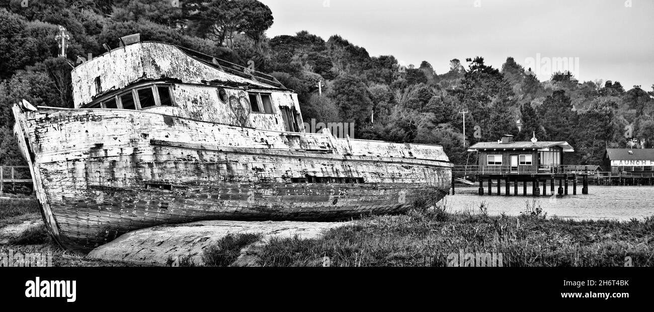 Naufragi a Tomales Bay, California Foto Stock