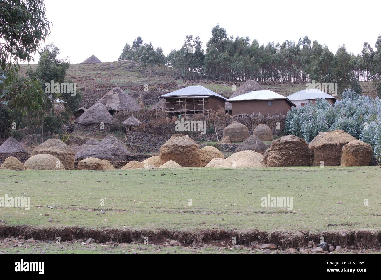 Village, Nord Shewa Etiopia Foto Stock