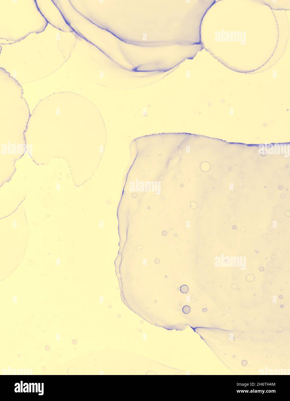 Modello di invito al matrimonio. Liquido pastello giallo Foto Stock