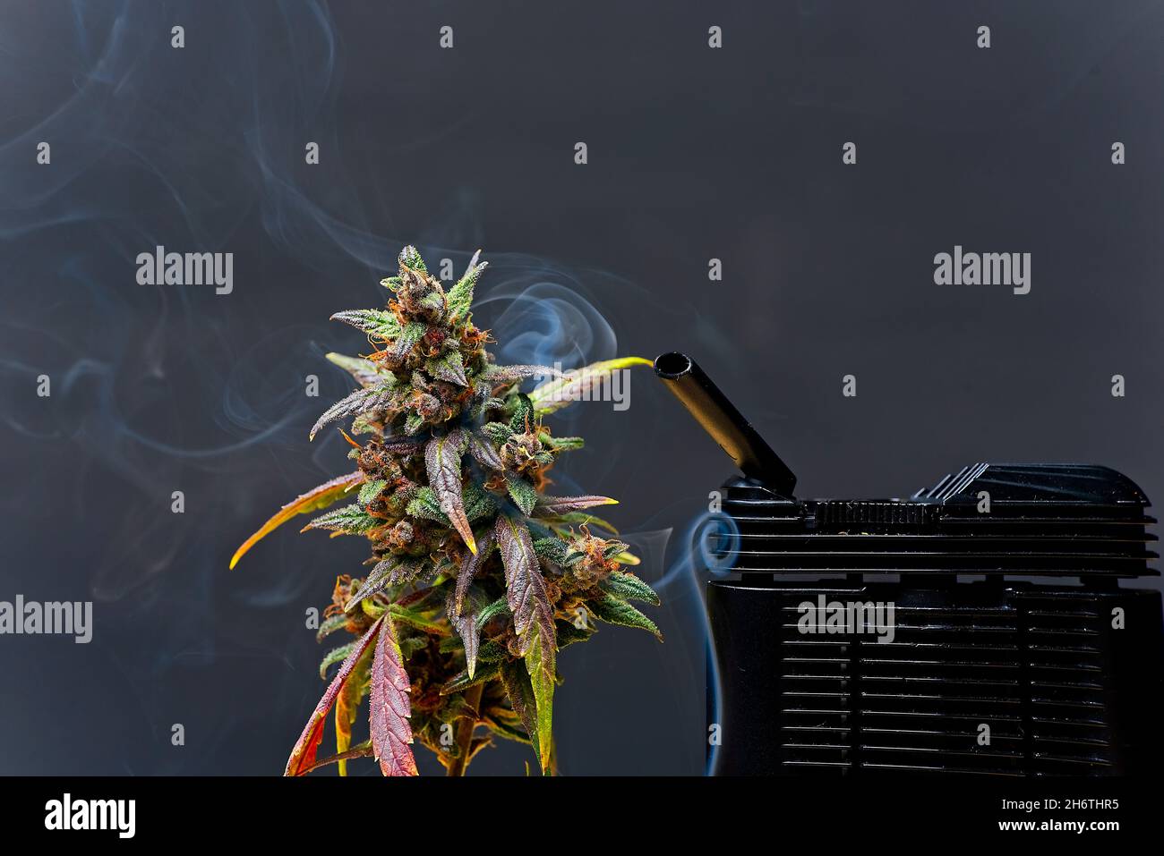 Concetto di cannabis vaporizzante. Boccale del vaporizzatore e boccale della pianta con spirali di fumo piacevoli e spazio di copia intorno. Foto Stock