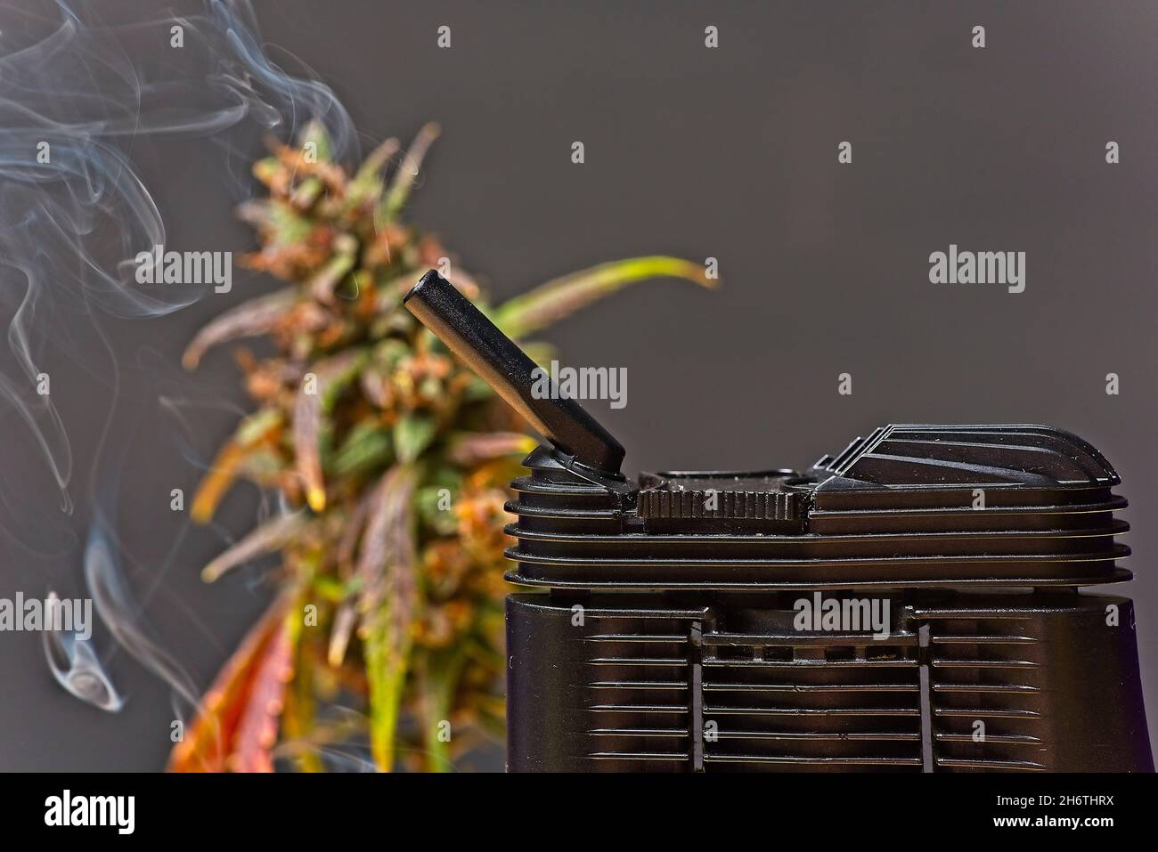 Concetto di cannabis vaporizzante. Boccale del vaporizzatore focalizzato e boccale della pianta fuori fuoco sullo sfondo con un fumo, spazio copia a sinistra. Foto Stock