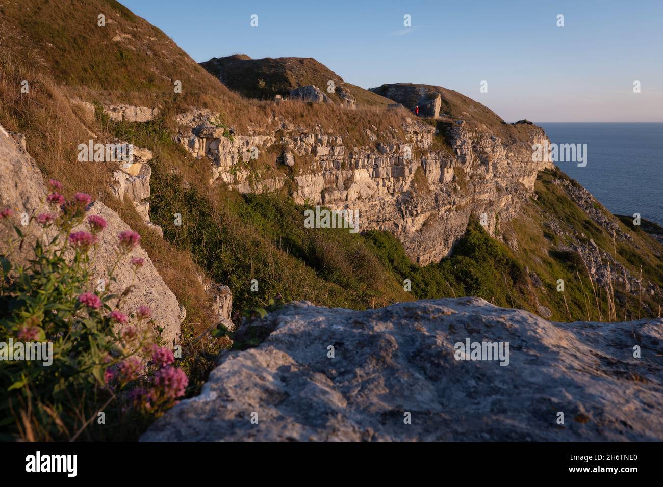 Nuovo terreno che domina West Bay il 20 luglio 2020 a Portland, Dorset nel Regno Unito. Foto di Sam Mellish Foto Stock