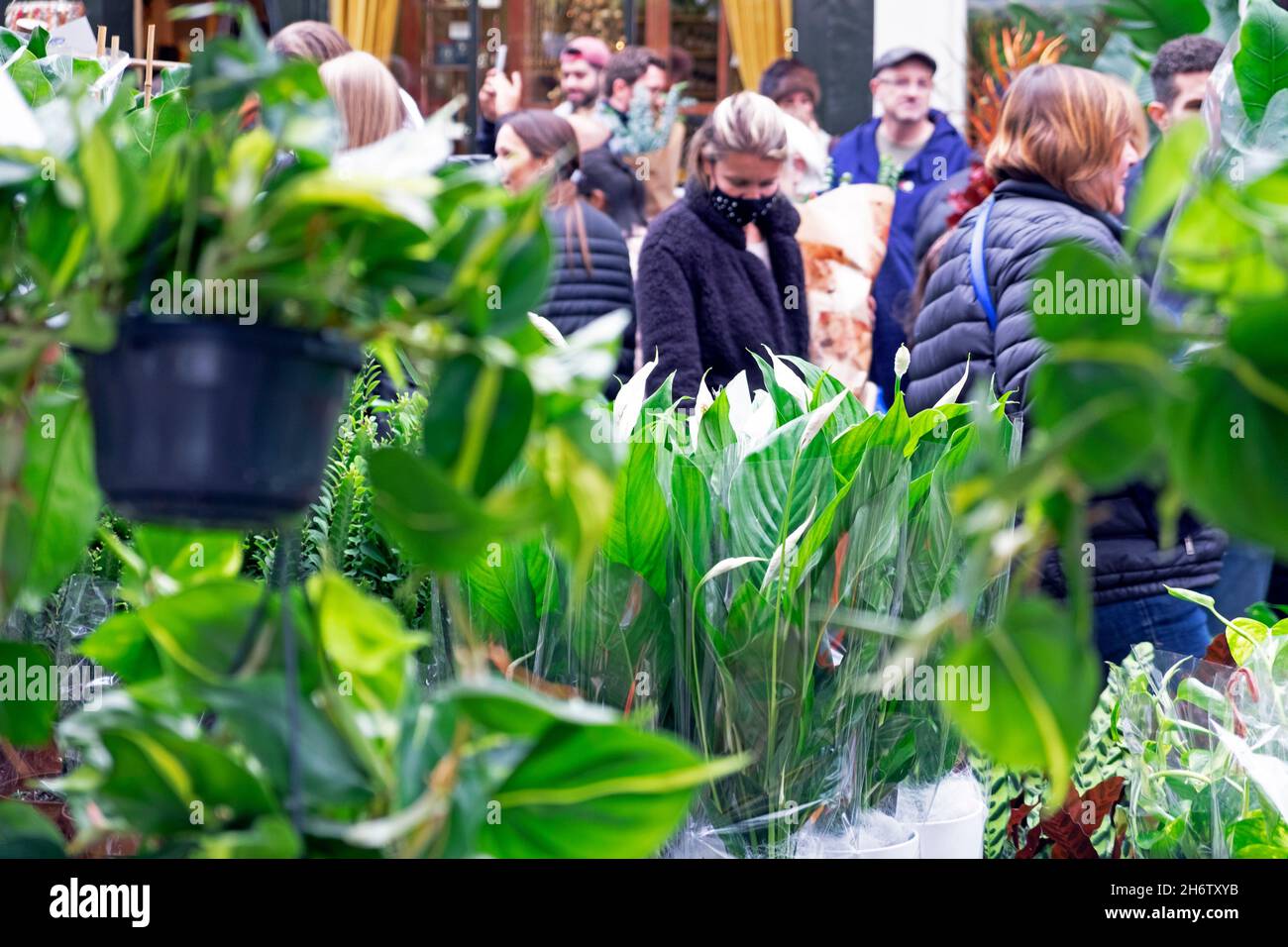 Columbia Road Flower Market persone che acquistano piante fiori in strada al mercato bancarelle Domenica nel novembre 2021 East London UK KATHY DEWITT Foto Stock