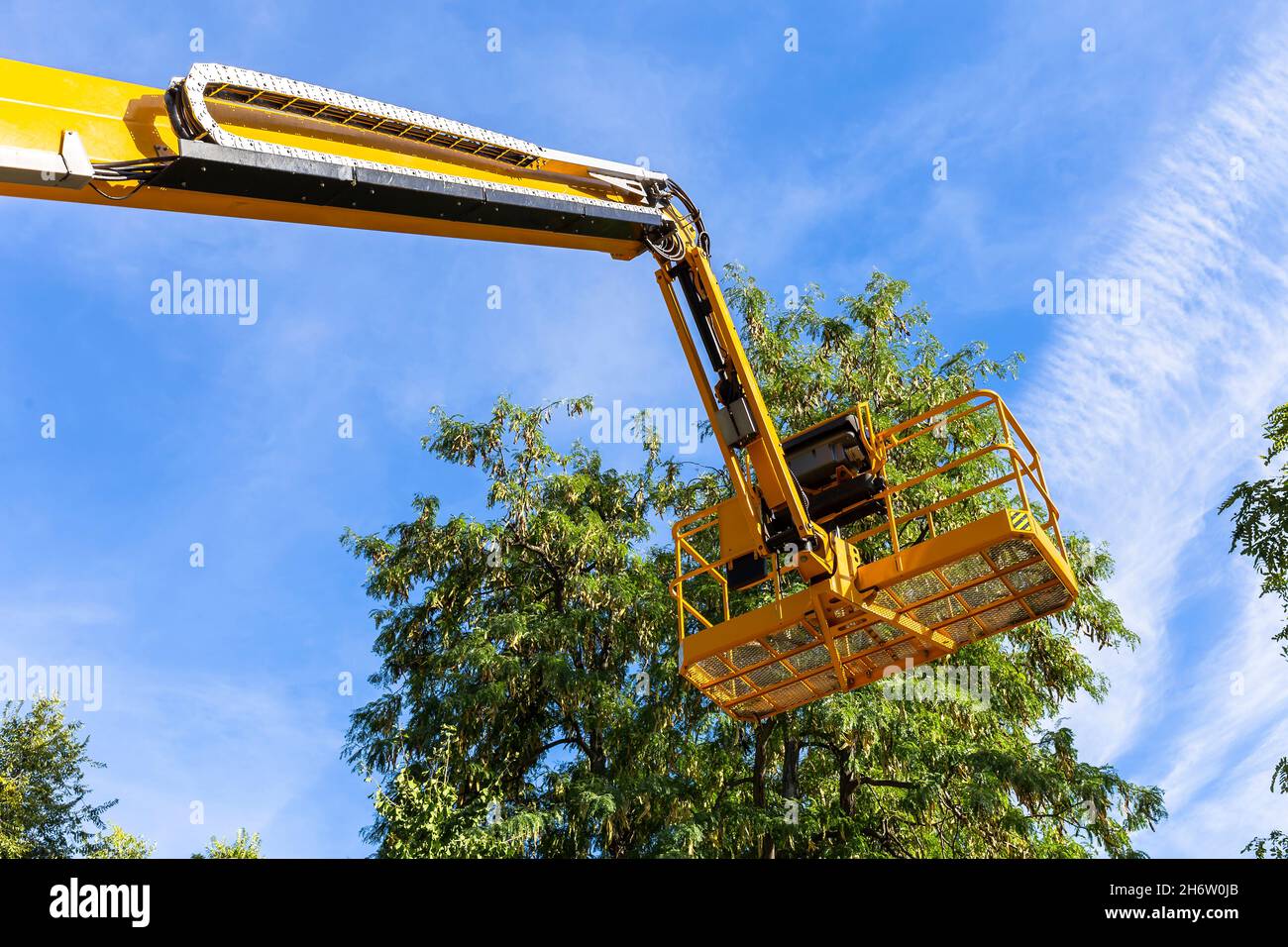 vista dal basso dell'ascensore giallo della piattaforma sugli alberi superiori del parco Foto Stock