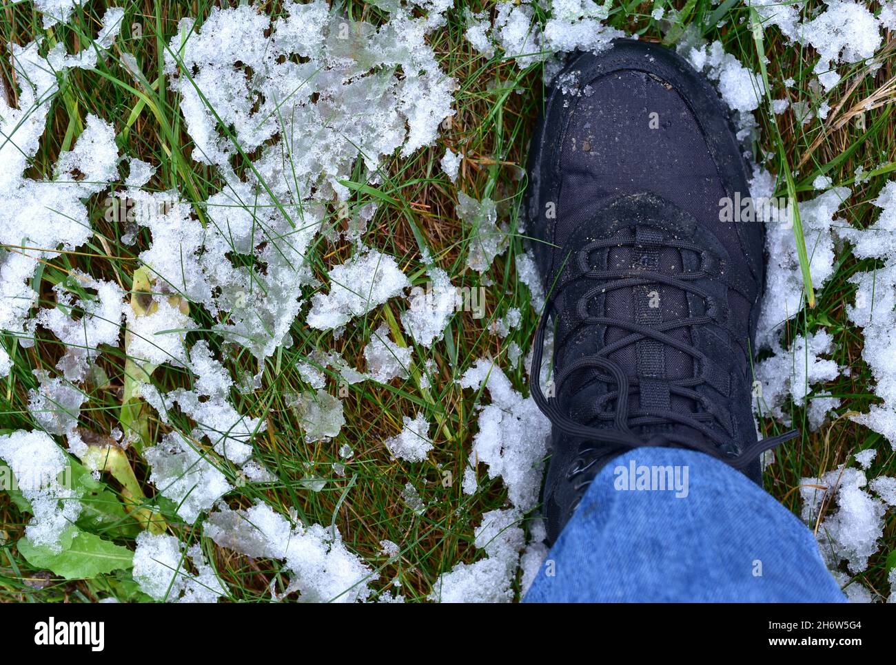 I piedi degli uomini in scarpe da trekking su uno sfondo di prima neve  bagnata sull'erba. Scarpe da pioggia per uomo o donna. Stivali Trekker per  escursioni a freddo e in tempo