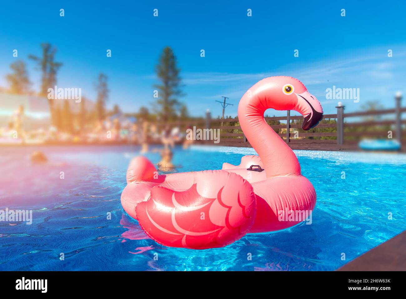 Cerchio rosa di fenicotteri in acqua turchese giorno di sole. Concetto Summer Pool party sfondo. Foto Stock