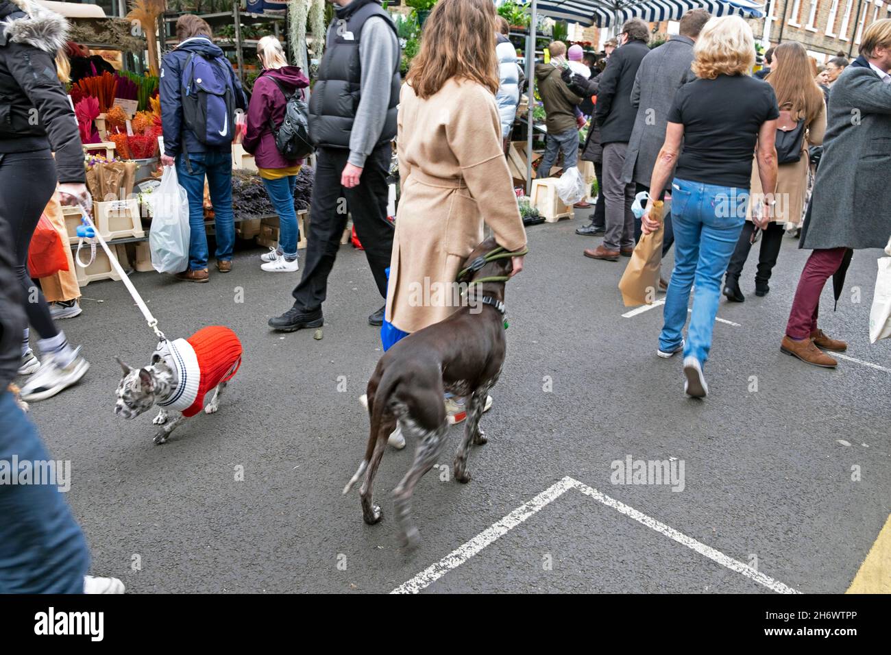 Columbia Road Flower Market persone che acquistano piante fiori in strada al mercato bancarelle Domenica nel novembre 2021 East London UK KATHY DEWITT Foto Stock