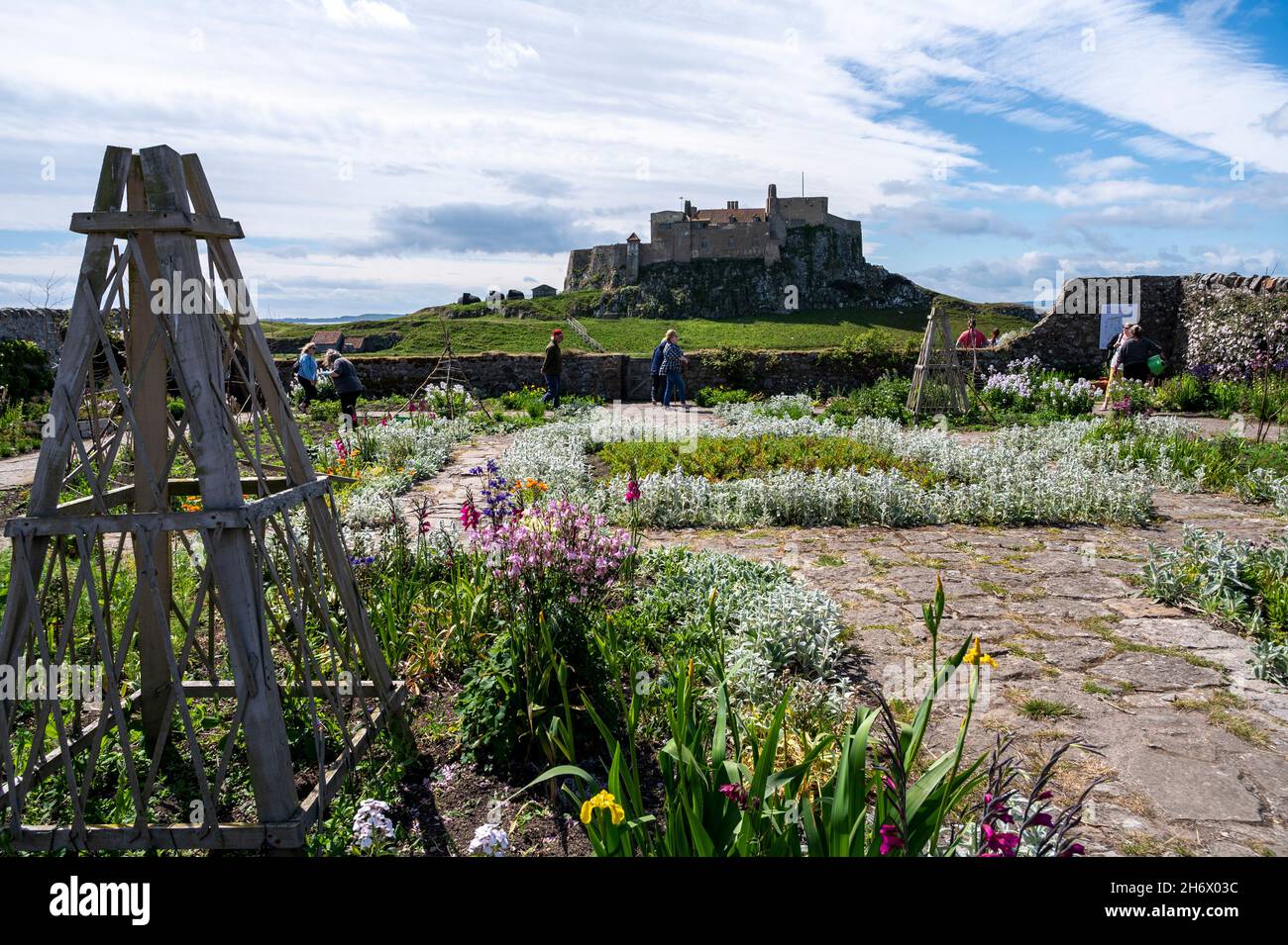Gertrude Jekyll's Garden a Lindisfarne, l'Isola Santa, in primavera, con il Castello di Lindisfarne sullo sfondo. Foto Stock
