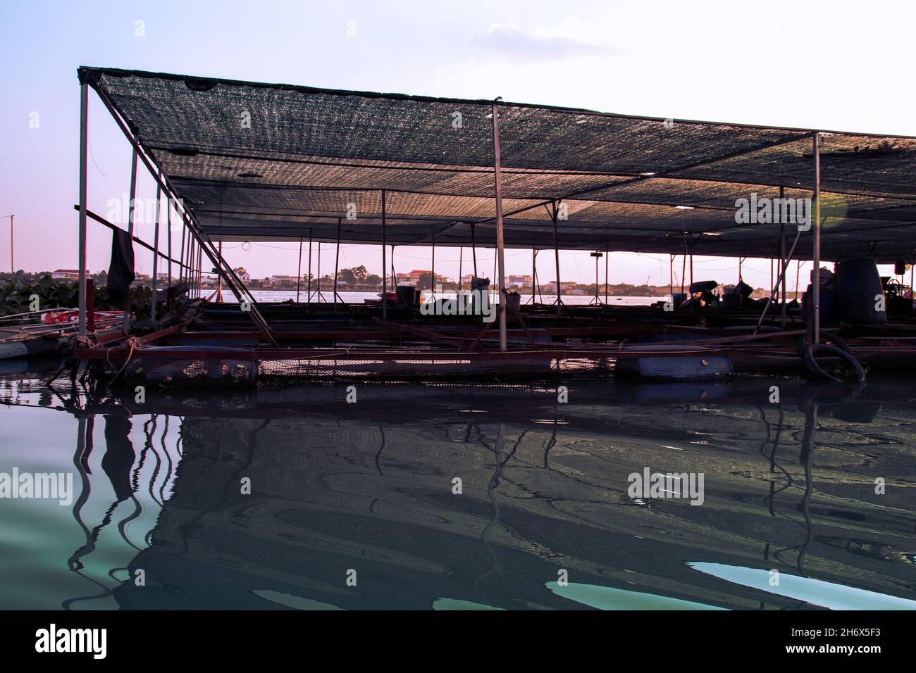 Penna galleggiante per pesci utilizzata per l'allevamento di carpe nel Delta del Mekong, Vietnam Foto Stock